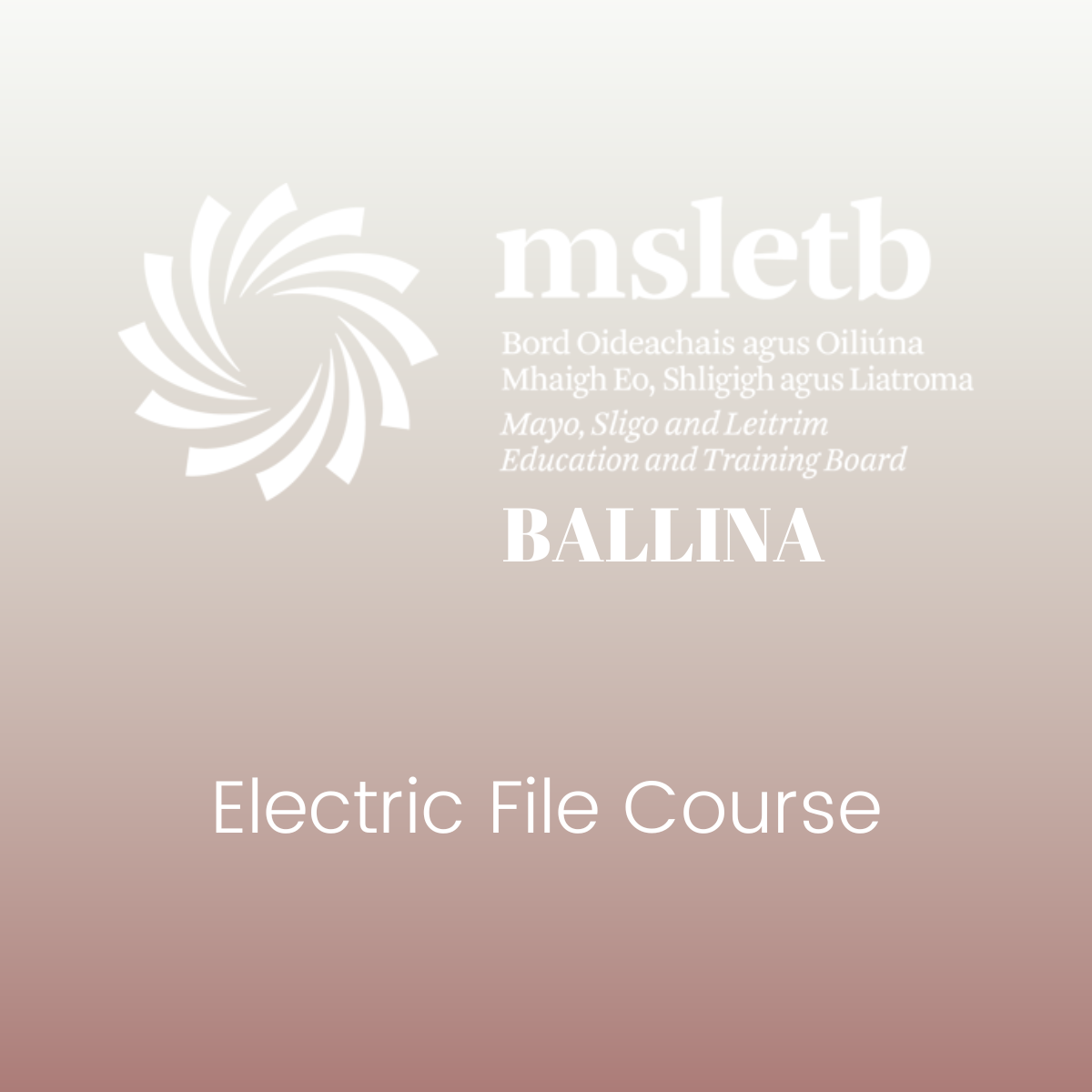 Electric File Course Ballina MSLETB